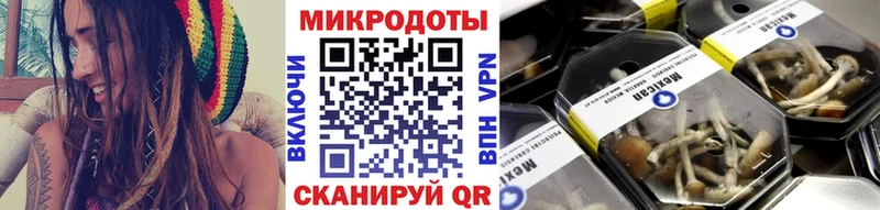 Псилоцибиновые грибы мицелий  хочу наркоту  Новоульяновск 
